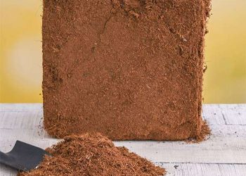 Cocopeat Block